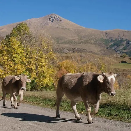 Apolo מלון אינסה